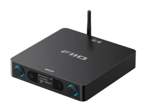 FIIO BR15 R2R