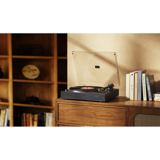 FIIO TT11 - Afbeelding 2